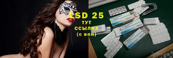 прущие грибы Переславль-Залесский