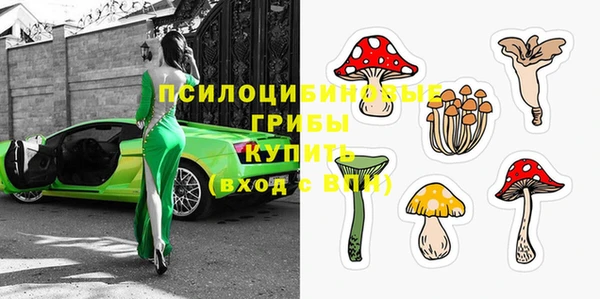 трава Абаза