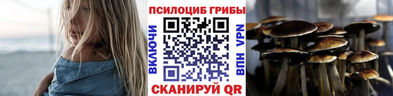 OMG ссылки  нарко площадка состав  Галлюциногенные грибы Psilocybe  Моршанск 